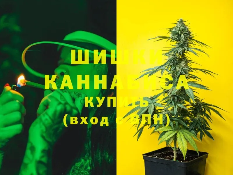 где найти   Сим  Бошки марихуана SATIVA & INDICA 